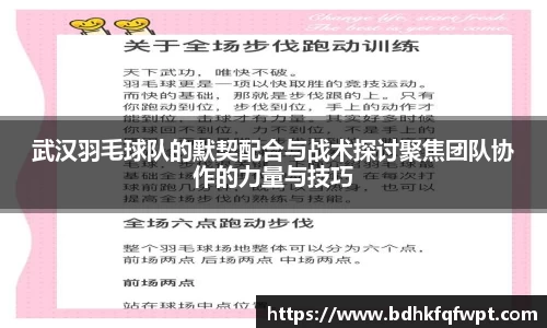 武汉羽毛球队的默契配合与战术探讨聚焦团队协作的力量与技巧